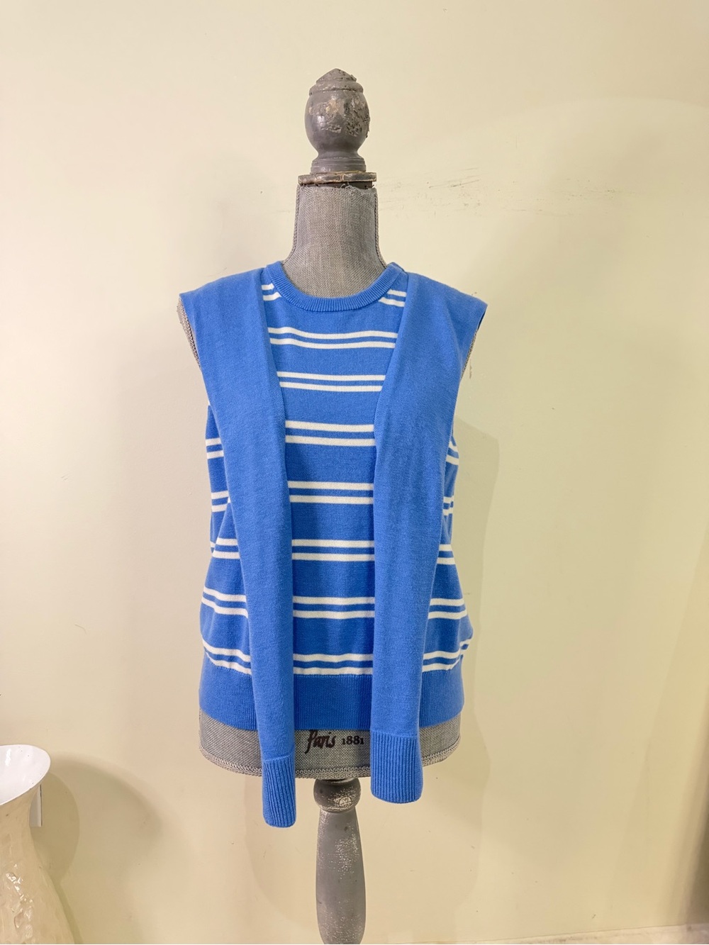 Vince Camuto Blue and White Striped Knit Vest
